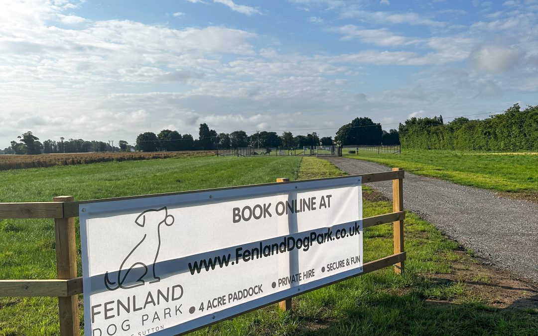 First Six Months at Fenland Dog Park     